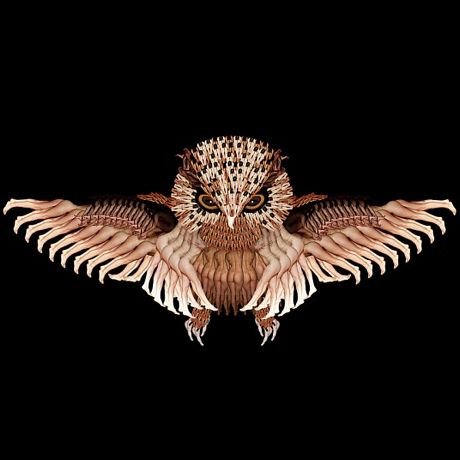 Webber đã kỳ công tạo nên các bức ảnh tuyệt đẹp về nhiều chủ đề như hoa lá, côn trùng, động vật và các loài chim... Webber đã kỳ công tạo nên các bức ảnh tuyệt đẹp về nhiều chủ đề như hoa lá, côn trùng, động vật và các loài chim..