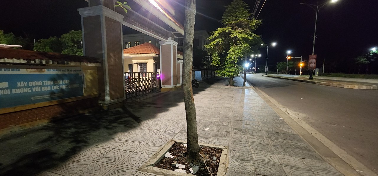 Tiền lẻ đầy gốc cây trước cổng trường chuyên Tiền lẻ đầy gốc cây trước cổng trường chuyên