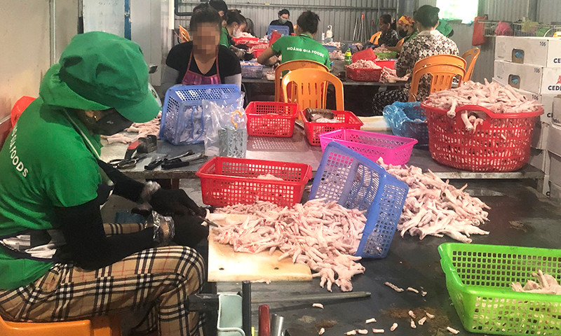 Xưởng có 10 công nhân chuyên sơ chế các sản phẩm.