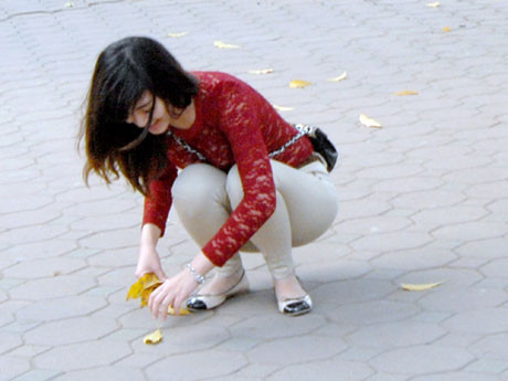 Lượm những chiếc lá rơi bên hồ làm kỷ niệm