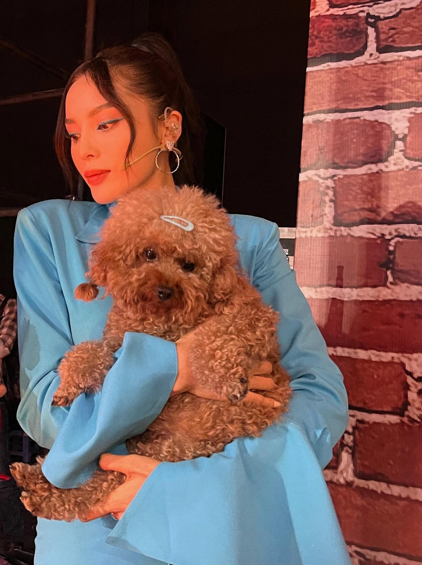 Hoa hậu Kỳ Duyên khoe vẻ đẹp yêu kiều như cô nàng tiểu thư bên chú cún cưng.