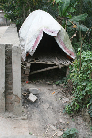 Chòi canh của lái đò 