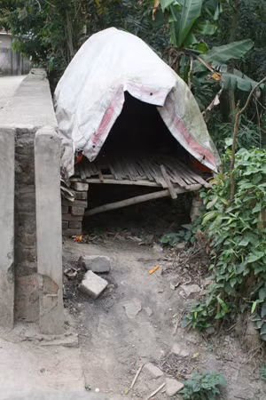 Chòi canh của lái đò 