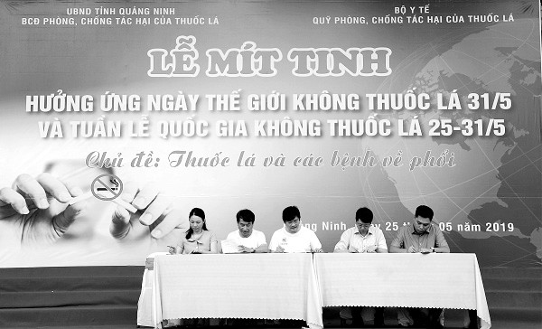 Hưởng ứng Ngày Thế giới không thuốc lá và Tuần Lễ Quốc gia không thuốc lá ảnh 1