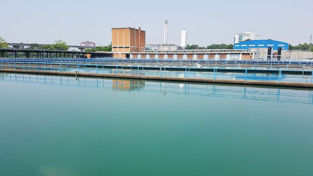 Ngày bận rộn của 336 Thanh niên tiên tiến làm theo lời Bác tại TPHCM ảnh 21