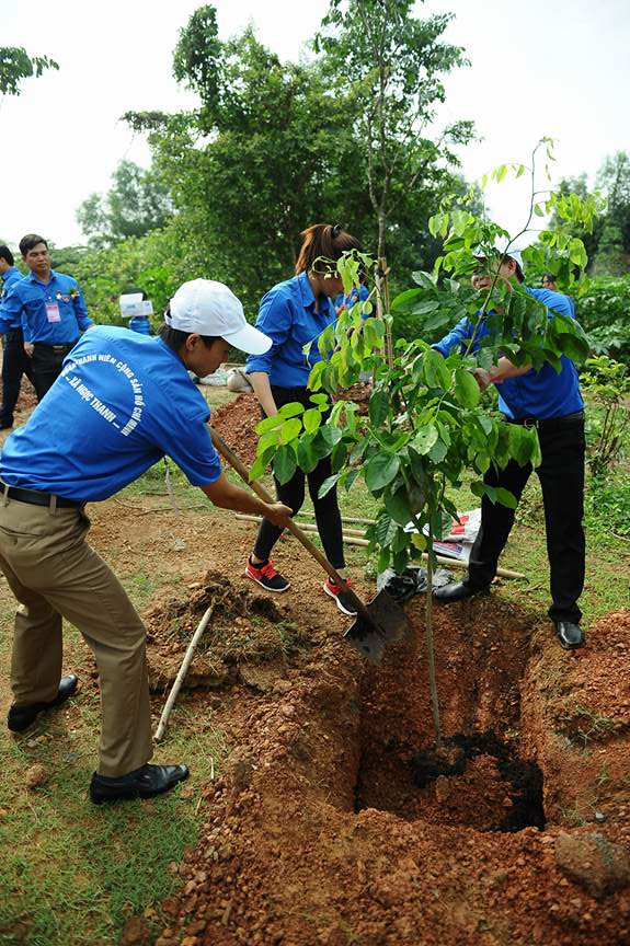 Ngày bận rộn của 336 Thanh niên tiên tiến làm theo lời Bác tại TPHCM ảnh 30