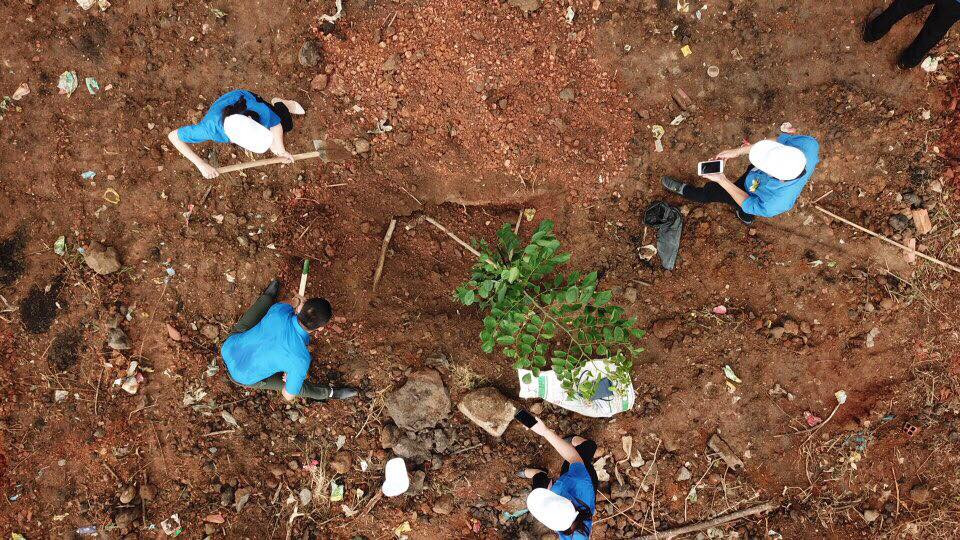 Ngày bận rộn của 336 Thanh niên tiên tiến làm theo lời Bác tại TPHCM ảnh 28