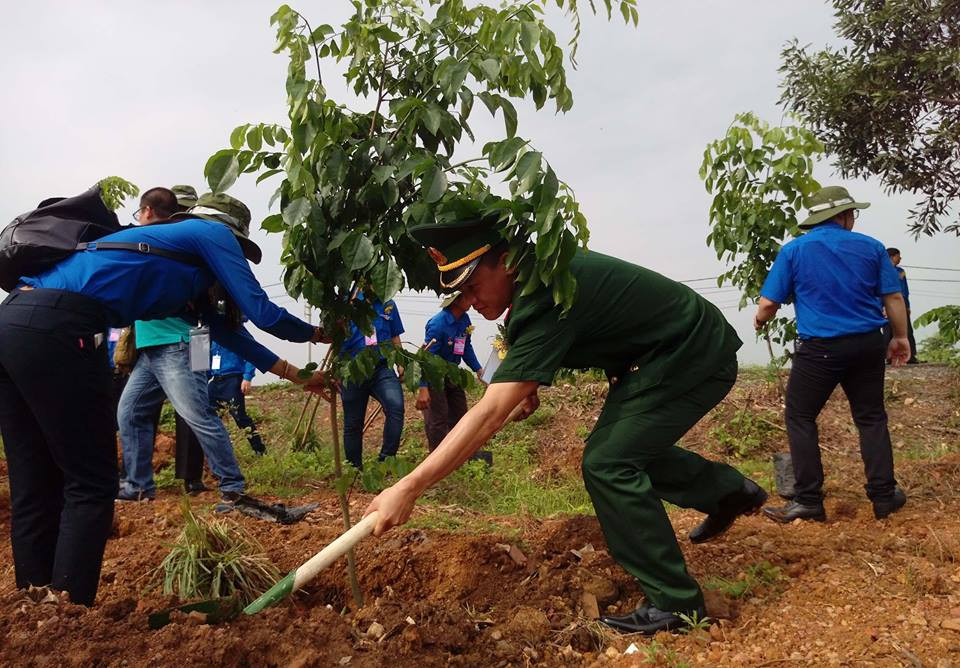 Ngày bận rộn của 336 Thanh niên tiên tiến làm theo lời Bác tại TPHCM ảnh 33