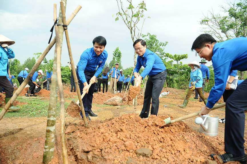 Ngày bận rộn của 336 Thanh niên tiên tiến làm theo lời Bác tại TPHCM ảnh 29
