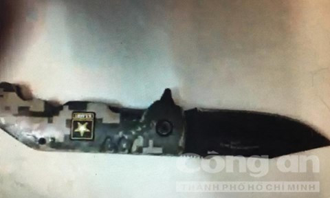 Việt kiều Mỹ dùng dao đâm gục người va chạm giao thông ảnh 2