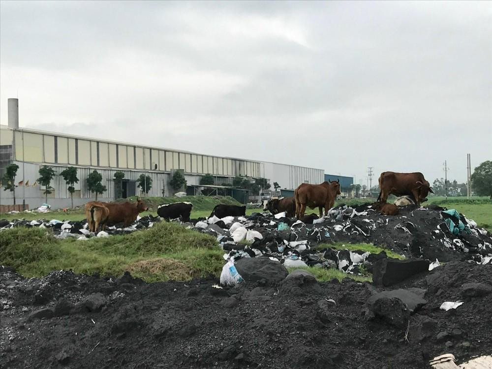 Tại Cụm công nghiệp làng nghề Mẫn Xá (Yên Phong, Bắc Ninh), chủ đầu tư là Công ty cổ phần Tập đoàn Hanaka đã phân lô cho thuê giá cao nhưng chưa có khu xử lý rác thải.