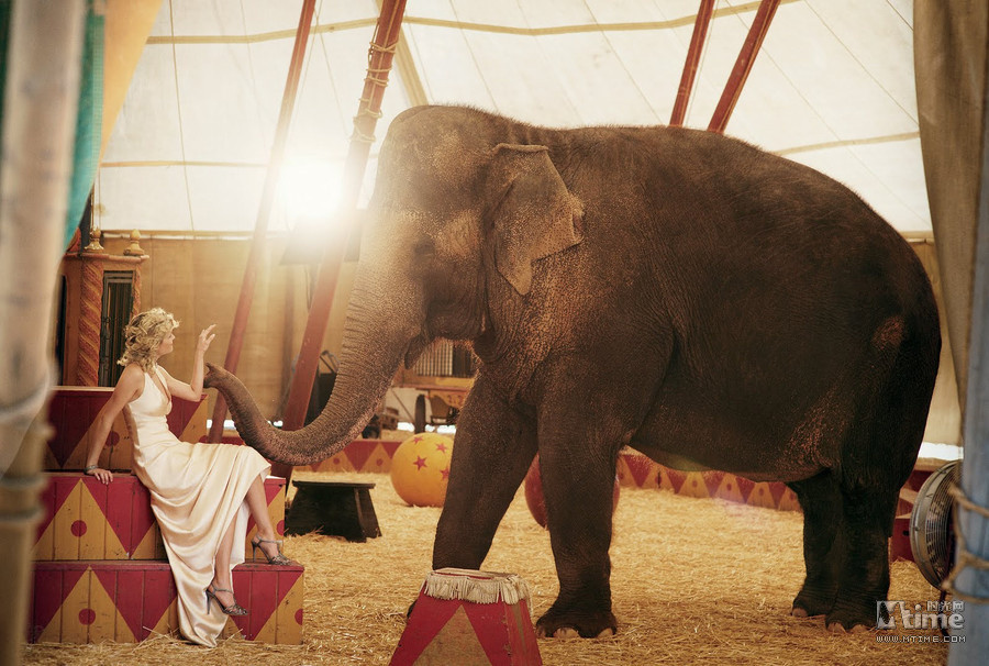 Scarlett Johansson quyến rũ bên chú báo khi xuất hiện trên trang bìa tạp chí Vouge. Robert Pattison vác cả con cá xấu. Con quạ "ranh mãnh" đang dùng mỏ rút dây áo tắm của người đẹp Petra Nemcova. Drew Barrymore và sư tử gợi nhớ hình ảnh "người đẹp và ác thú". Siêu mẫu Caroline Trentini với vẻ đẹp mạnh mẽ mà gợi cảm. "Thôn nữ" Madona đang cho gà ăn. Nicole Kidman, cô chủ kiêu kỳ và mạnh mẽ trong trang trại nuôi bò. Reese Witherspoon "lả lướt" bên chú voi to lớn. Tiểu thư xinh đẹp Renee Zellweger thẩn thơ dưới gốc bên chú thỏ đáng yêu. Siêu mẫu Aleksandra Nilsen mạnh mẽ bên hai chú sư tử. Jennifer Aniston cùng chú cún cưng của mình. Demi Moore phải bắc thang lên để âu yếm chú hươu cao cổ.