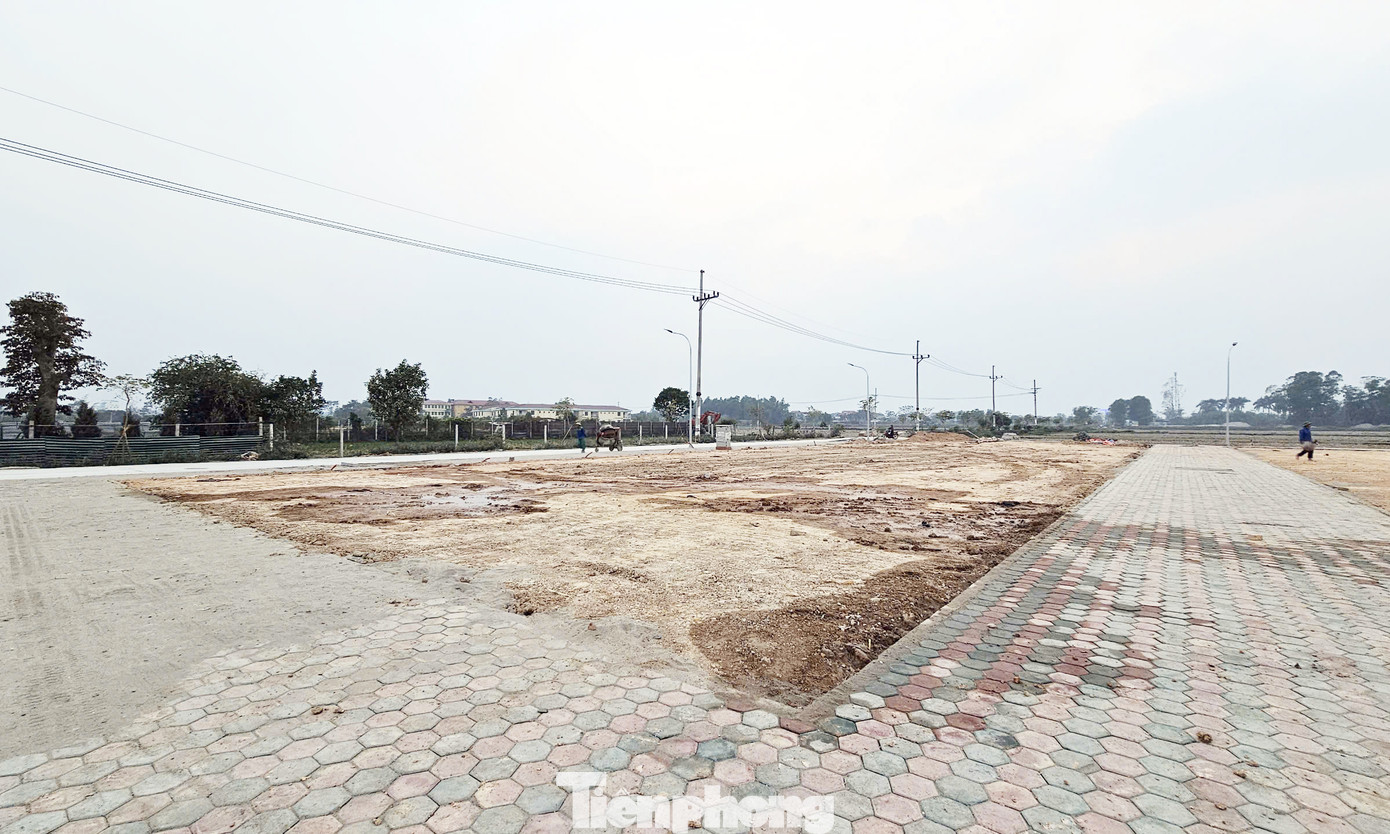 Ngoài ra, 2 khách hàng Ng. T. Q. L, Ng. Đ. Th trả giá 50,4 triệu đồng/m2, 59,4 triệu đồng/m2, 62,4 triệu đồng/m2, 68,4 triệu đồng/m2 cho 10 thửa đất (A1, A11, B5, B6, B7, B8, C9, D5, D6, D7).