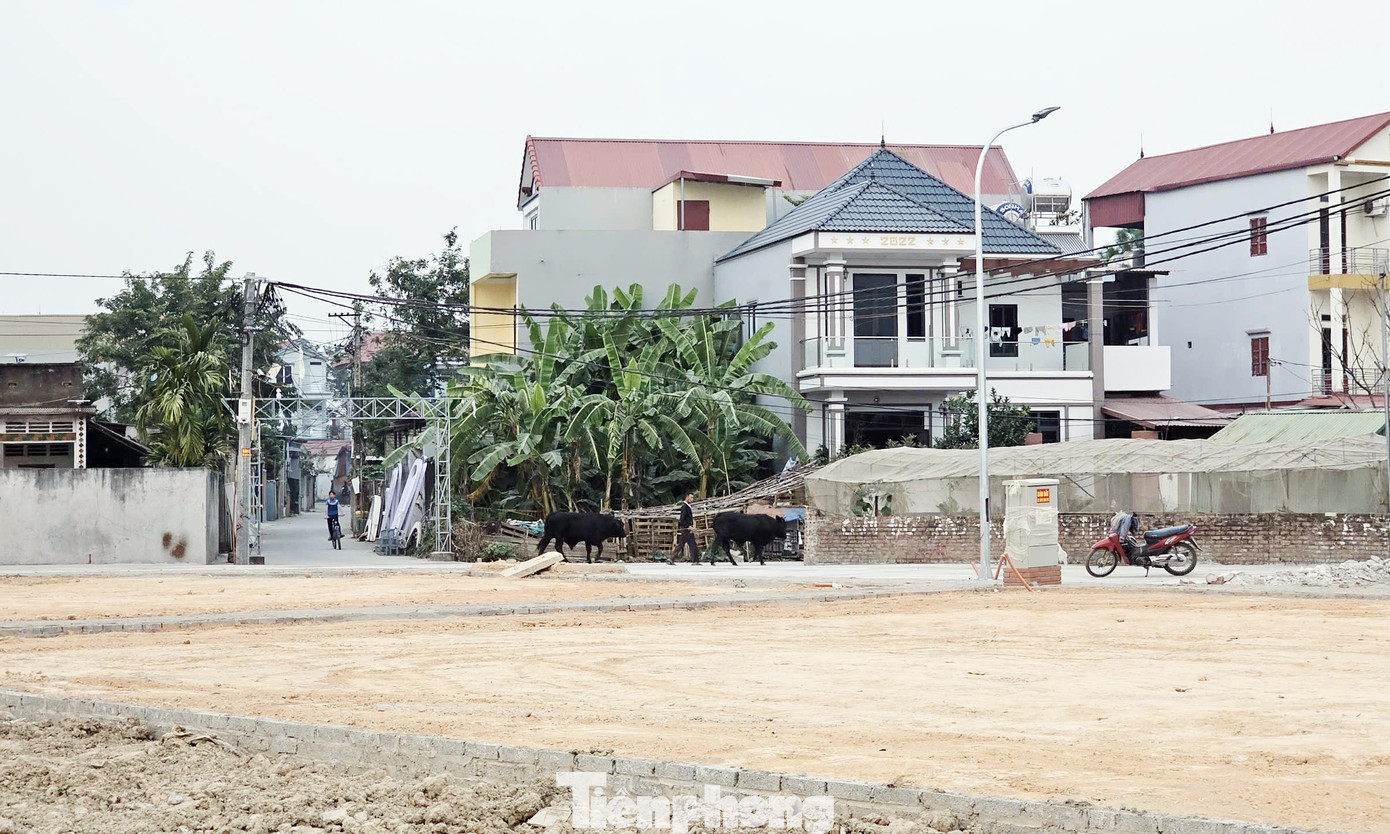 Kết thúc phiên đấu giá, có 22/58 thửa đất được đấu giá thành công với giá trúng thấp nhất 32,4 triệu đồng/m2; cao nhất 50,4 triệu đồng/m2; tổng số tiền theo kết quả trúng đấu giá của 22 thửa đất là 112,2 tỷ đồng. 36 thửa đấu giá không thành do tất cả các khách hàng không trả giá ở vòng 6 (vòng đấu cuối cùng).