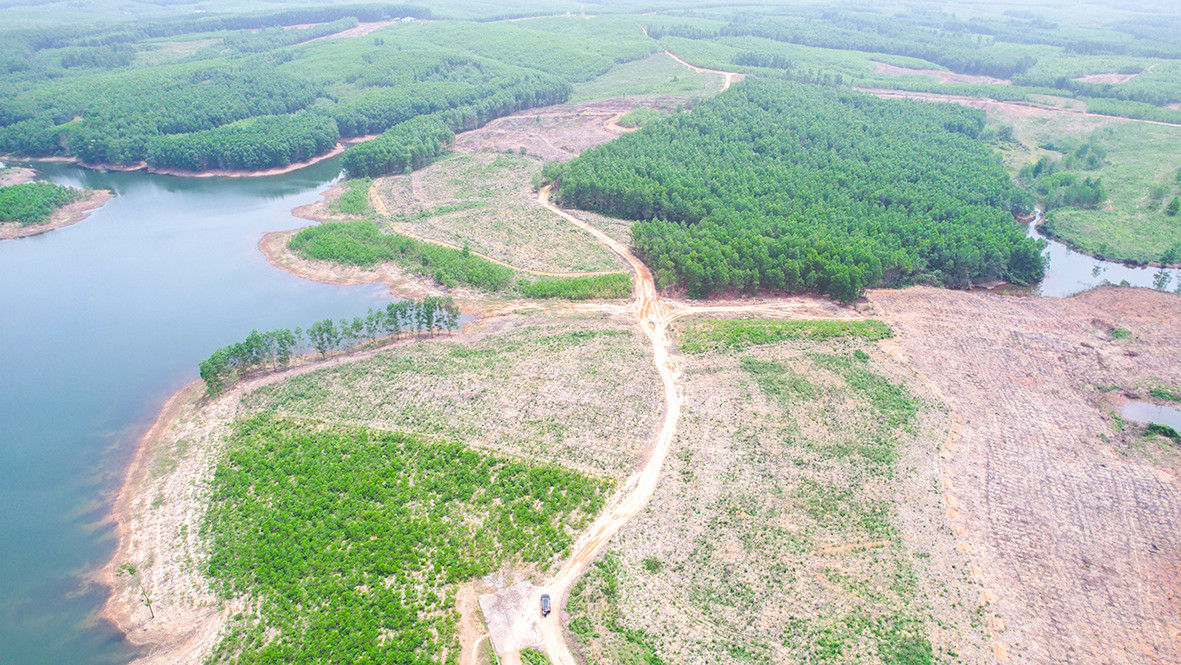 Một góc 60 ha của Dự án vùng nông nghiệp ứng dụng công nghệ cao FAM Quảng Trị tại huyện Cam Lộ đã được giải phóng mặt bằng, song doanh nghiệp chưa triển khai nên người dân tận dụng để trồng cây keo tràm. Ảnh: LT.