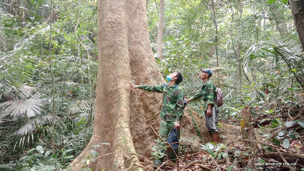 Thành viên Ban Quản lý và Bảo vệ rừng cộng đồng thôn Trăng - Tà Puồng tích cực tuần tra bảo vệ rừng. Ảnh: Bảo Bình Thành viên Ban Quản lý và Bảo vệ rừng cộng đồng thôn Trăng - Tà Puồng tích cực tuần tra bảo vệ rừng. Ảnh: Bảo Bình