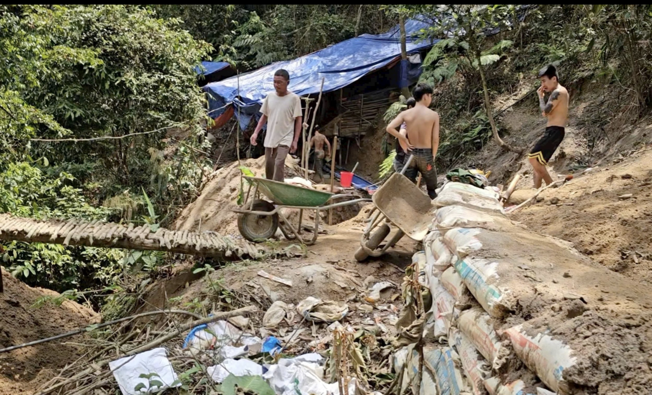 Nhóm người dựng lán khai thác vàng trái phép ở khu vực Khe Dẻ, xã Vĩnh Ô, huyện Vĩnh Linh
