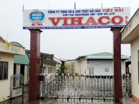 Công ty Việt Hải ngưng sản xuất gần 1 năm nay dù đã đổi chủ. Nhà xưởng đóng cửa, hoang vắng ở cuối khu công nghiệp Hòa Trung, huyện Cái Nước (Cà Mau). Ảnh: Duy Khang