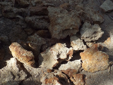 Hố chôn người tập thể được phát hiện như thế nào? ảnh 3