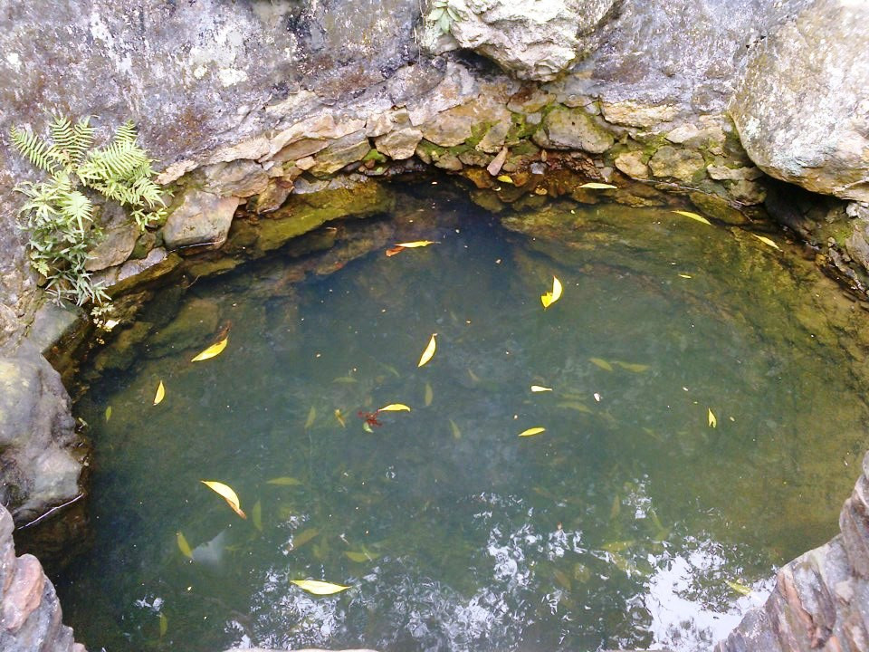  Nguồn nước giếng có sự ô nhiễm do lá cây phân hủy