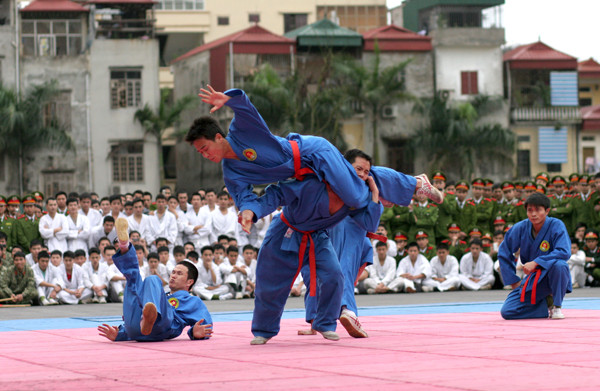 Biểu diễn các đòn thế tấn công của võ Vovina