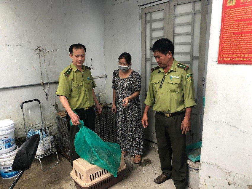 Người dân bàn giao con kỳ đà hoa cho cơ quan chức năng. Người dân bàn giao con kỳ đà hoa cho cơ quan chức năng.