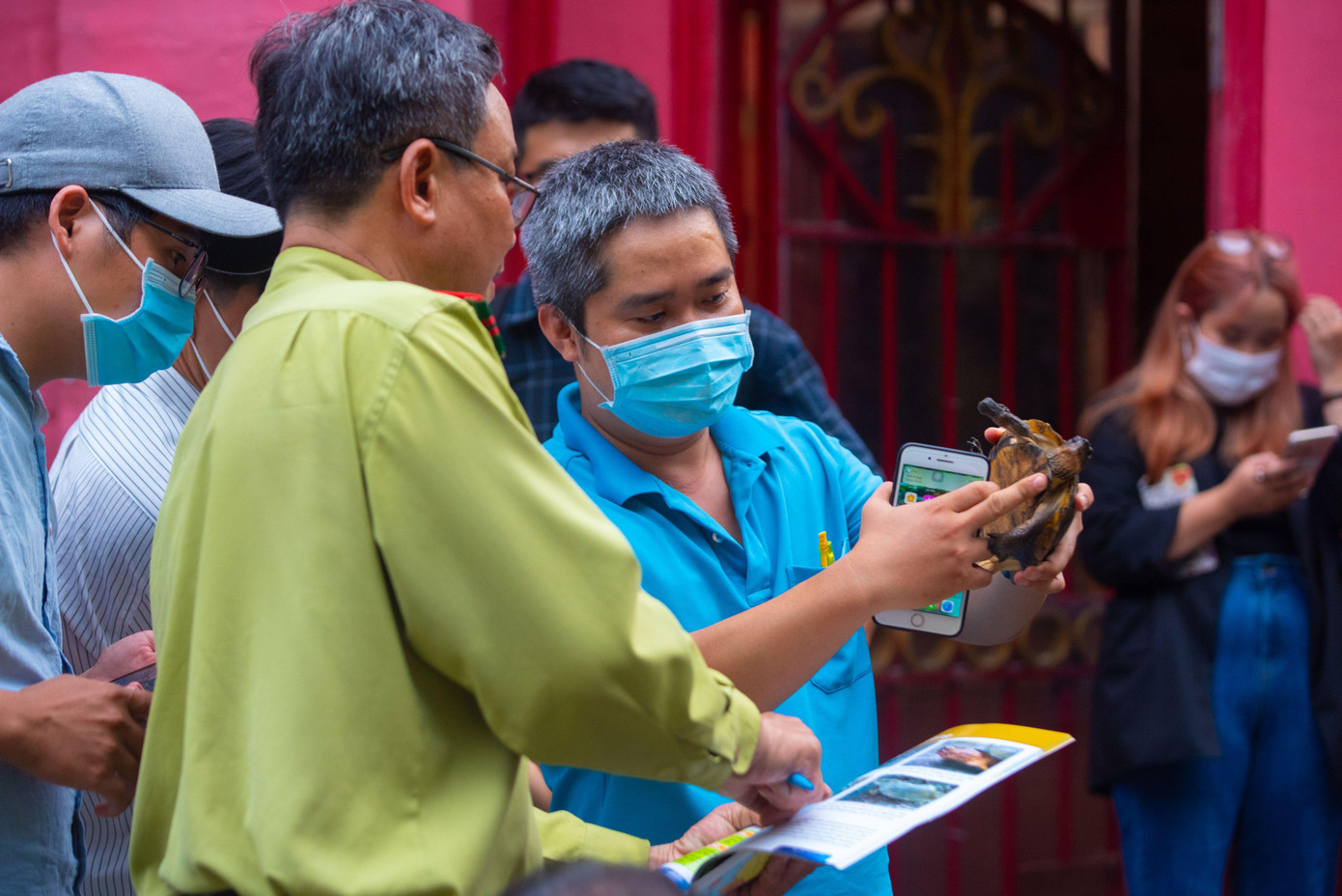 Theo lực lượng kiểm lâm, 62 con rùa gồm 8 loài: rùa hộp lưng đen, rùa đất sê pôn, rùa ba gờ, rùa đất lớn đều thuộc danh mục quý, hiếm trong đó có 11 con rùa núi vàng là loài cực kỳ nguy cấp. Trong ảnh: Lực lượng chức năng đối chiếu hình ảnh để phân loại rùa.