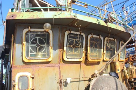 Thuyền trưởng kể chuyện mặc áo mưa vì... dột trên tàu vỏ thép ảnh 2