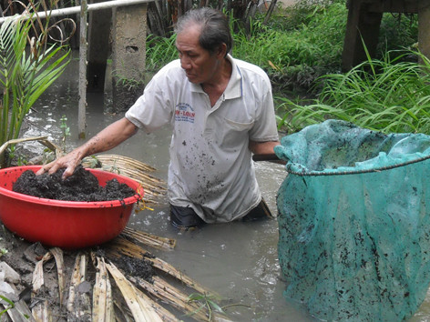 Đồ nghề xúc trùn chỉ là vợt và thau. ẢNH: HÒA HỘI. Đồ nghề xúc trùn chỉ là vợt và thau. ẢNH: HÒA HỘI