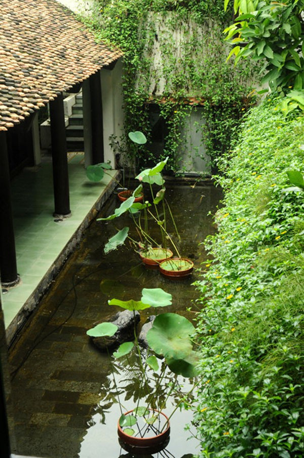 Cận cảnh biệt thự triệu đô của ca sĩ Hồng Nhung ảnh 7