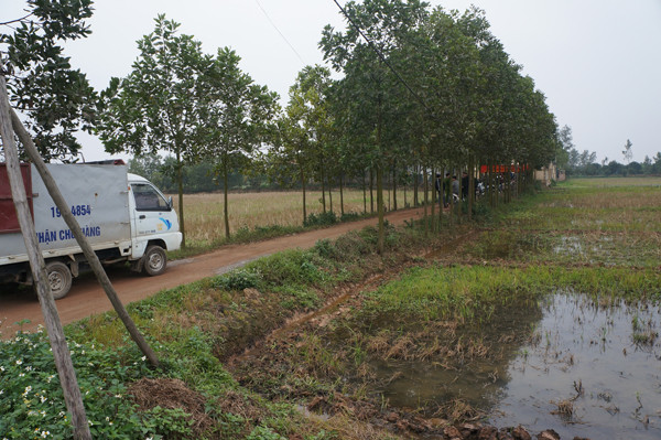 Trung tâm nằm giữa cánh đồng