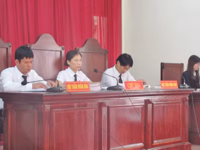 Phán quyết của HĐXX không nhận được sự đồng thuận của dư luận. ảnh: Duy Chiến 