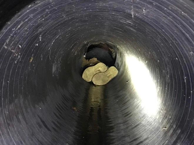 Lực lượng chức năng chui xuống đường cống thoát nước để khám nghiệm hiện trường.