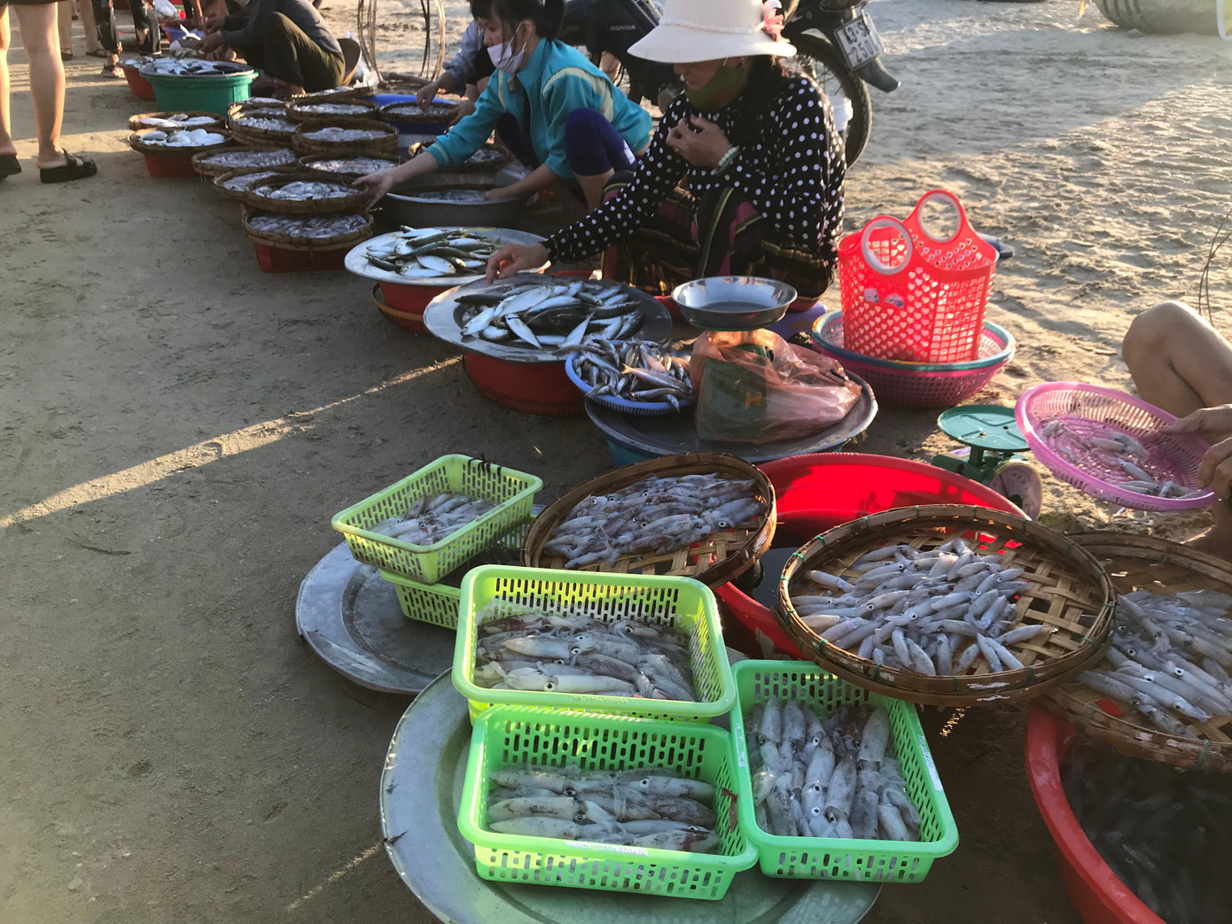 Ngoài mặt hàng cá cơm, chợ sáng Mân Thái còn là nơi buôn bán các loại hải sản tươi sống khác như mực cơm, cá nục, cá đối... Ngoài mặt hàng cá cơm, chợ sáng Mân Thái còn là nơi buôn bán các loại hải sản tươi sống khác như mực cơm, cá nục, cá đối...