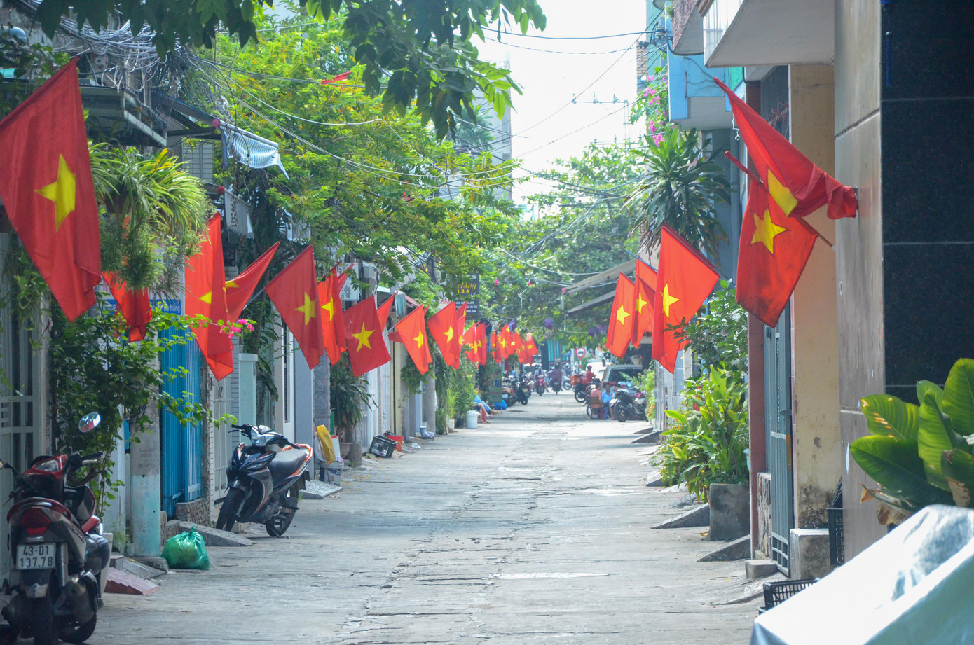 Mấy ngày nay, tại hẻm Nguyễn Tri Phương (quận Hải Châu) cờ đỏ sao vàng tung bay