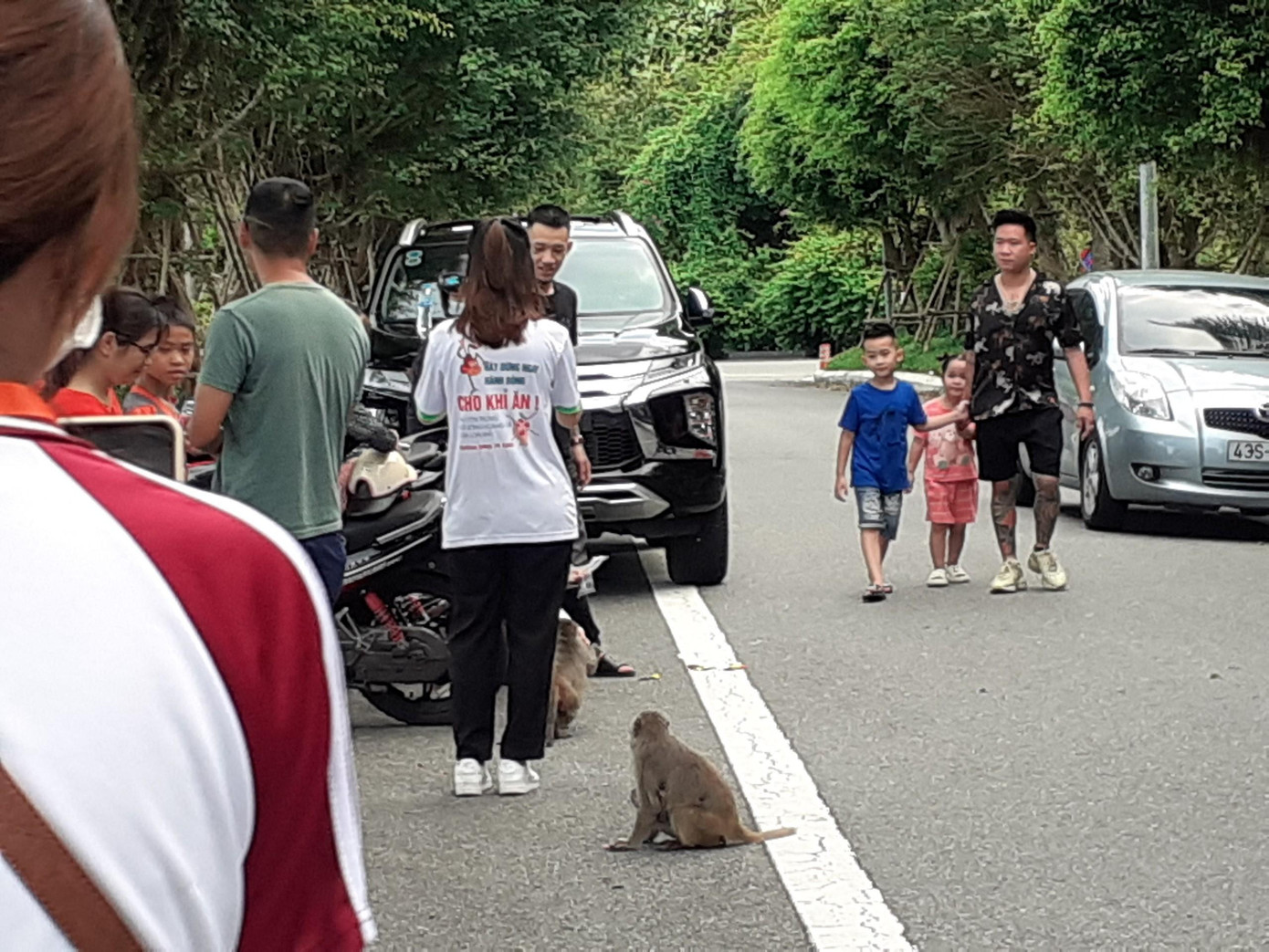 Nhiều tình nguyện viên đến từ các tổ chức khác nhau vẫn tích cực tuyên truyền, nâng cao ý thức cho khách tham quan bán đảo tác hại khi cho khỉ ăn.