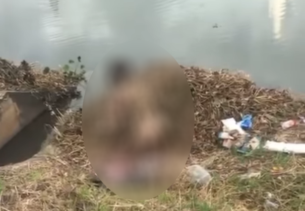 Hình ảnh cô gái tự thiêu bên hồ Bồ Đề (phường Hòa Minh, quận Liên Chiểu).