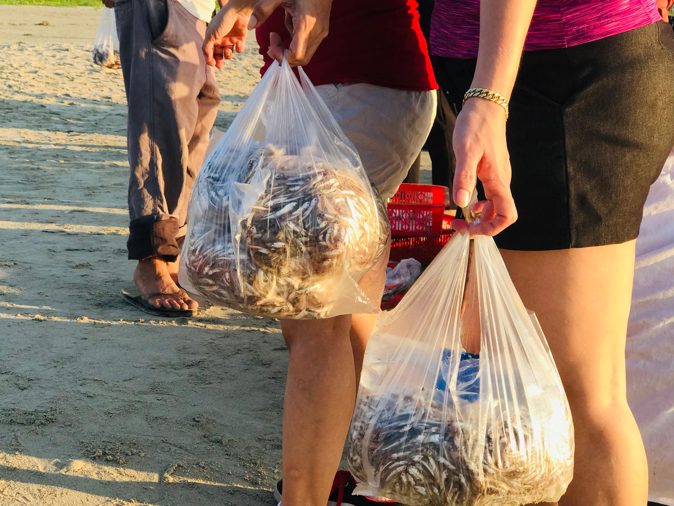 Người dân tranh thủ thời gian đi tập thể dục buổi sáng để mua. Cá cơm đựng trong túi nylon có nước biển để bảo quản giúp cá tươi ngon. Người dân tranh thủ thời gian đi tập thể dục buổi sáng để mua. Cá cơm đựng trong túi nylon có nước biển để bảo quản giúp cá tươi ngon.