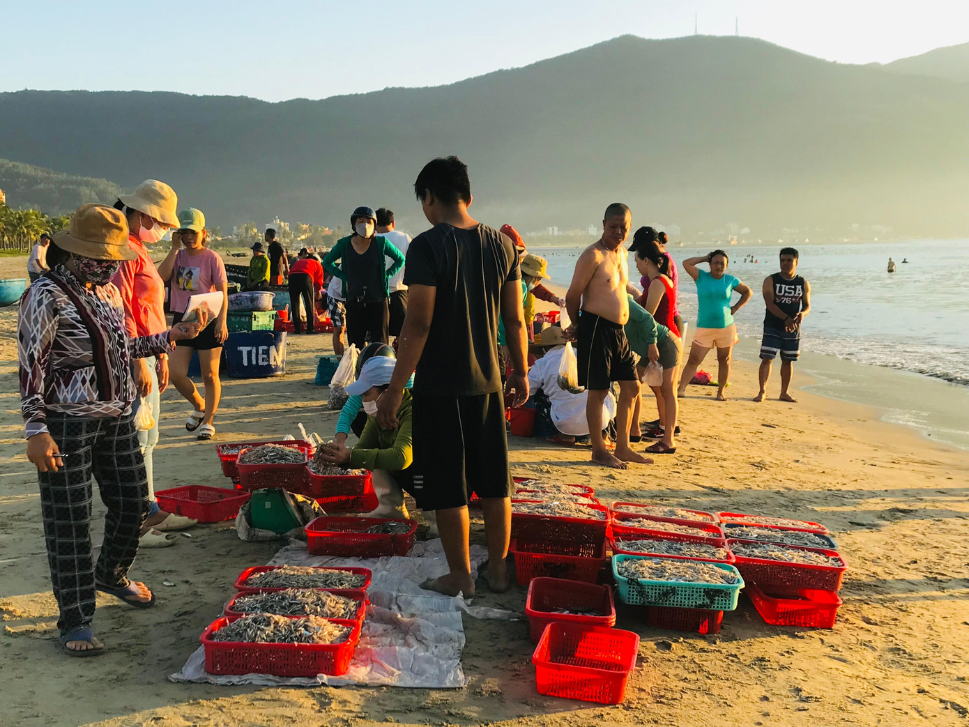 Từng khay cá cơm tươi rói được lựa và xếp sẵn cho ráo nước chờ thương lái tới mua chở về các chợ nhỏ. Từng khay cá cơm tươi rói được lựa và xếp sẵn cho ráo nước chờ thương lái tới mua chở về các chợ nhỏ.