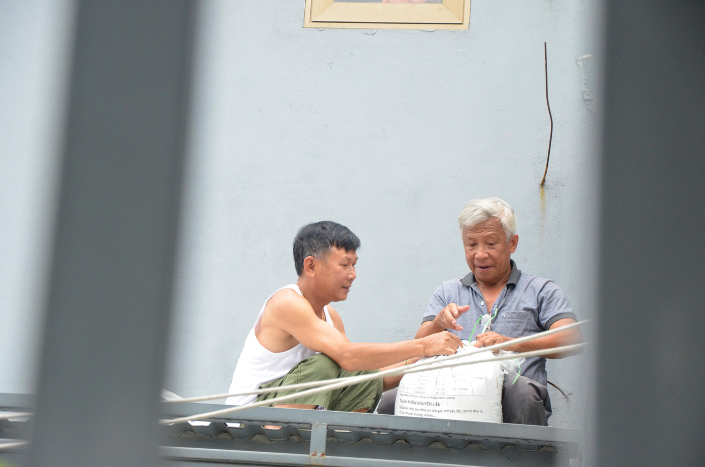 Hình ảnh quen thuộc trên các mái tôn tại Đà Nẵng ngày này