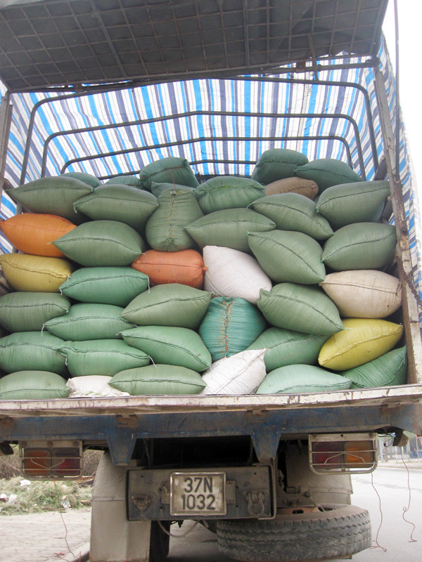 Rượu lậu được cất giấu lẫn trong những bao tải chứa thóc, gạo