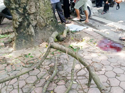 Hiện trường nơi xảy ra vụ việc. Hiện trường nơi xảy ra vụ việc