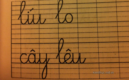 Chưa hết, từ “cây NÊU” được viết thành “cây LÊU”. . Chưa hết, từ “cây NÊU” được viết thành “cây LÊU”.