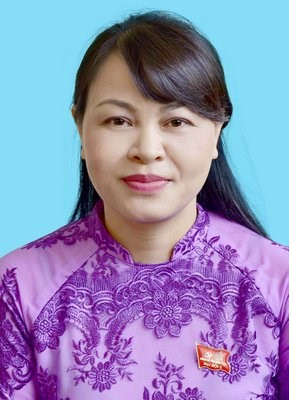 Infographic 200 ủy viên BCH Trung ương Đảng khóa XII ảnh 54