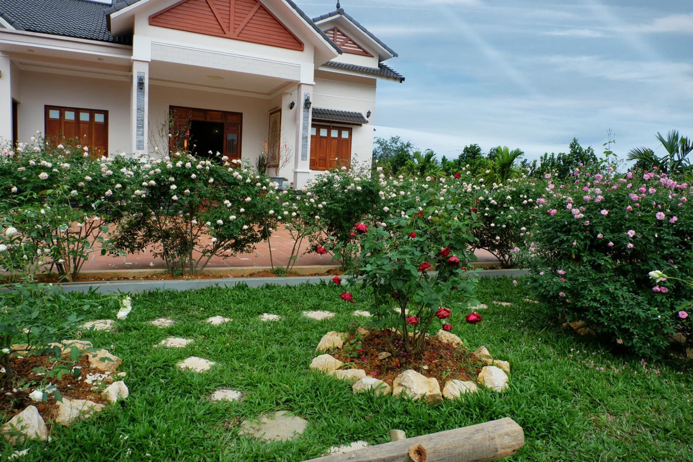 Tuấn Anh tiết lộ, bố mẹ anh đều là công chức nhưng vì đam mê trồng hoa nên mong muốn phủ kín diện tích 10.000m2 bằng hoa.