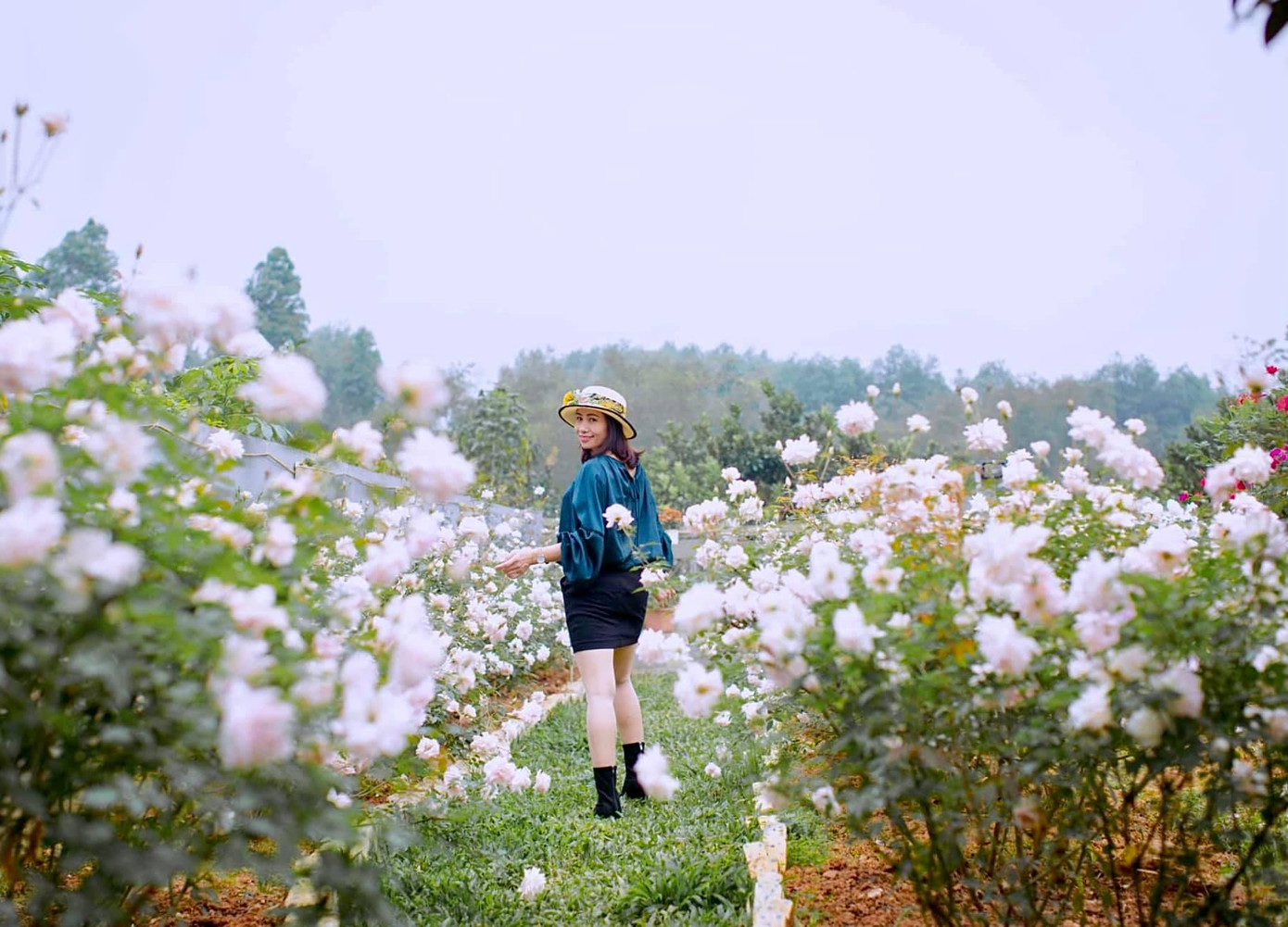 “Hoa cỏ như có linh hồn vậy, riêng hoa mẹ em trồng luôn lớn và tươi tốt, chỉ cần bữa nào lỡ bận quá thuê người trồng phụ, thì y như rằng, cây đó èo oặt vài bữa là chết. Kể từ đó ba mẹ em tự tay trồng hoa, chăm hoa như chăm con cái vậy, nâng niu chiều chuộng”- Tuấn Anh chia sẻ.