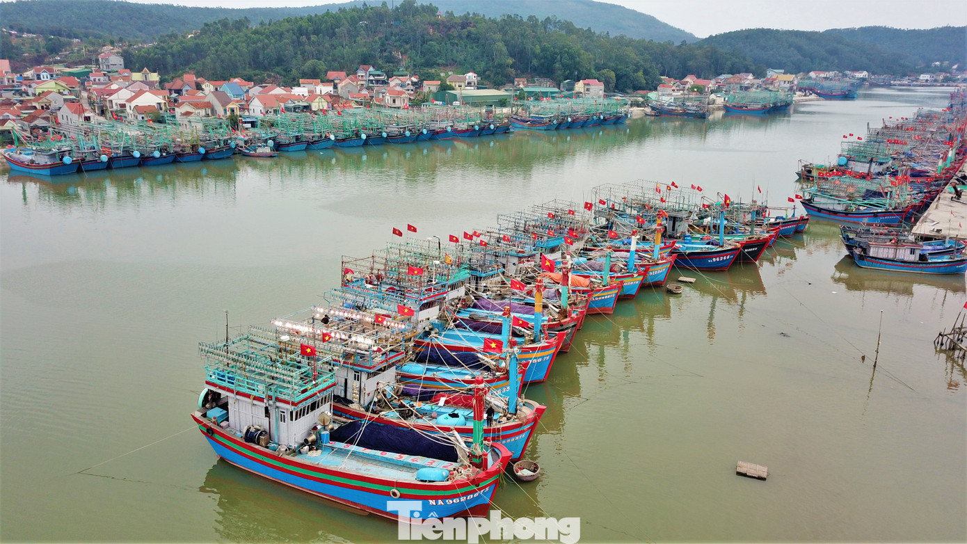 11 tỉnh từ Thanh Hóa đến Khánh Hòa sẽ phối hợp quản lý tàu thuyền.