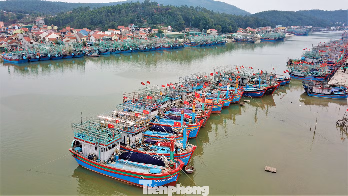 11 tỉnh từ Thanh Hóa đến Khánh Hòa sẽ phối hợp quản lý tàu thuyền.