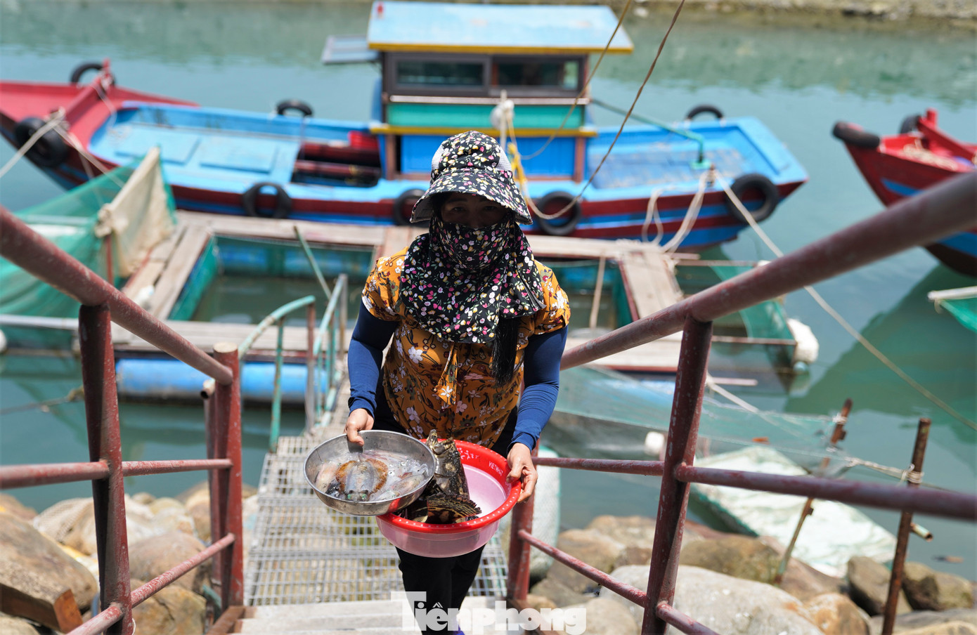 "Dù đã cuối mùa, mực đánh bắt được ít hơn rất nhiều nhưng rất đông khách gọi điện đặt bàn, đặt mực trước song không có để bán”, chủ nhà hàng Thanh Nhàn cho hay.
