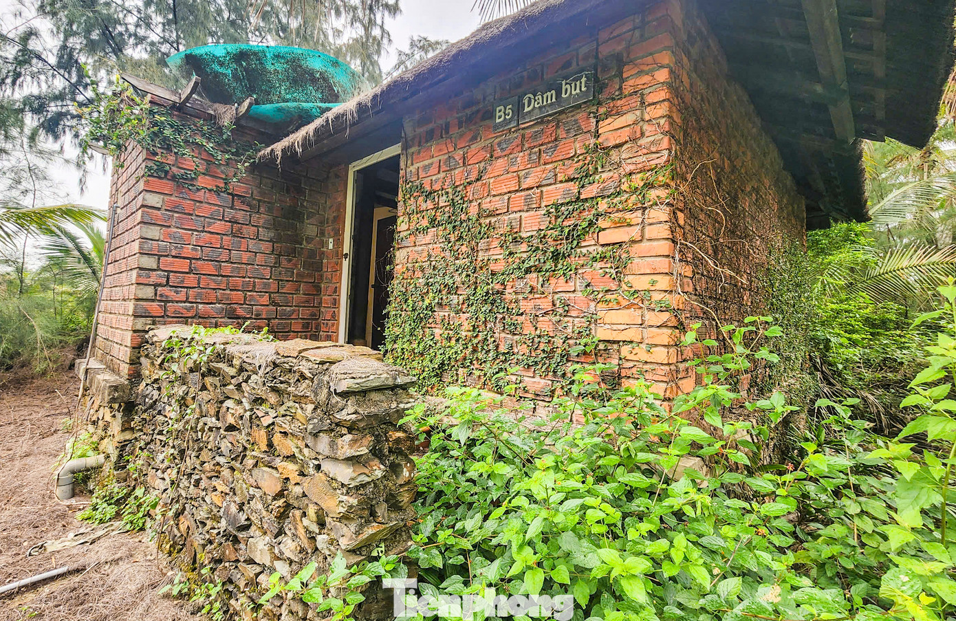 Một số căn nhà gỗ nghỉ dưỡng xây gạch bao quanh, mái lá nằm cạnh khu dự án từng được công nhân tận dụng làm chỗ nghỉ nay bị bỏ hoang, cỏ mọc um tùm và không bóng người qua lại.